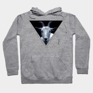 Triangle Goat Sigil Hoodie